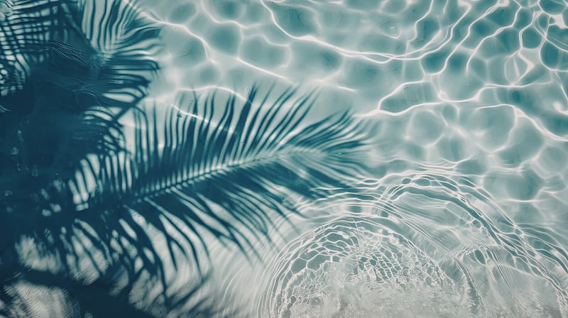Feuilles de palmier sur l'eau
